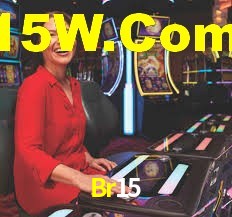 Programa VIP Br15